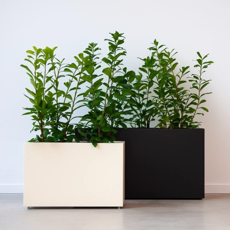 DONICA OKRĄGŁA ROOTS 50 cm x 50 cm Grafit